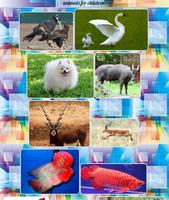 Animals for Children Affiche