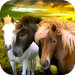 Famille du cheval: Fantasy Sur