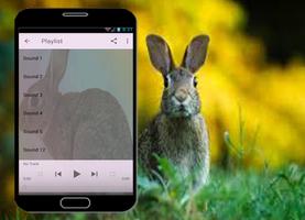 Rabbit sounds capture d'écran 1