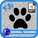 动物声MP3 APK