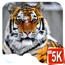 HD Tiere Hintergrund APK