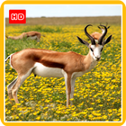 Antelope Wallpaper HD Phone 아이콘