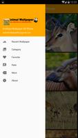Antelope Wallpaper HD Phone 스크린샷 1