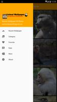 Baboon Wallpaper HD Phone Ekran Görüntüsü 1