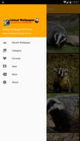 Badger Wallpaper HD Phone plakat