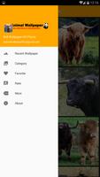 Bull Wallpaper HD Phone Ekran Görüntüsü 1
