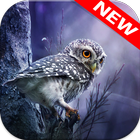 Owl Wallpapers simgesi