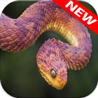 Snake Wallpapers أيقونة