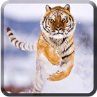 Animal Wallpapers for Chat أيقونة