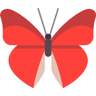 Butterfly Animation Wallpaper simgesi