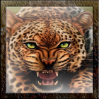 Leopard Live Wallpaper biểu tượng