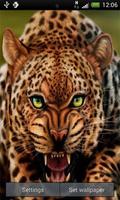 Leopard Live Wallpaper ảnh chụp màn hình 3