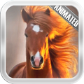 Horse Video Lwp Wallpaper