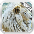 White Lion Video Wallpaper