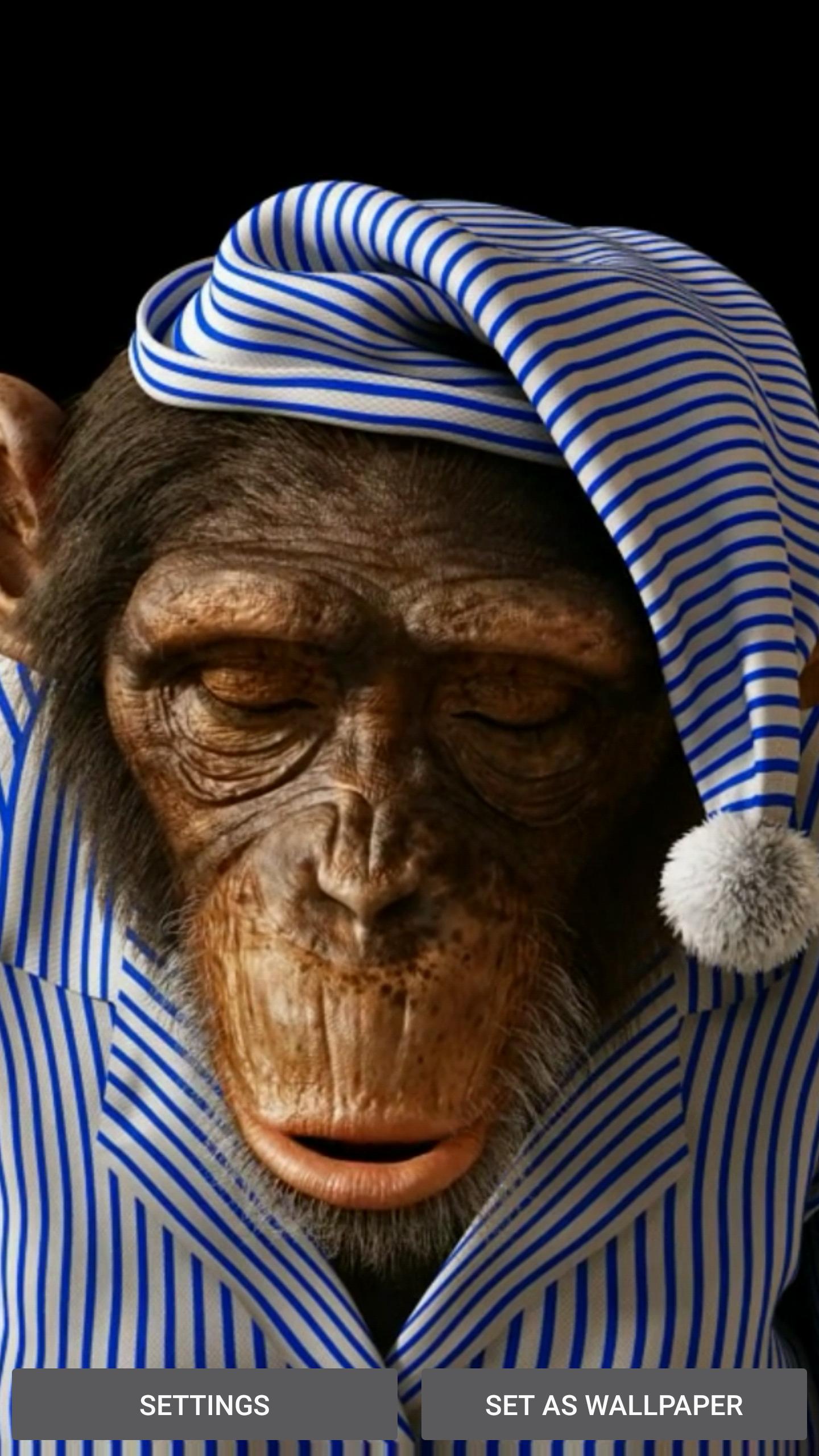Tải xuống APK Funny Monkey 3D Live Wallpaper cho Android Tải xuống APK Funny Monkey 3D Live Wallpaper cho Android