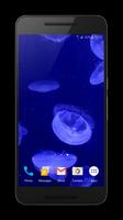 Jellyfishes 4K Live Wallpaper 포스터