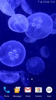 Jellyfishes 4K Live Wallpaper 스크린샷 3