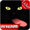 Black Cat Licker Live Wallpaper 4k free 2018 APK
