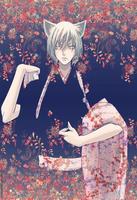 kamisama kiss wallpaper স্ক্রিনশট 3