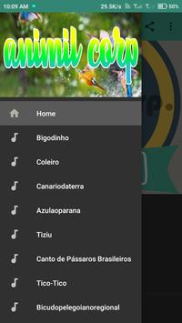 Canto de Bigodinho HQ Descarga APK - Gratis Música y audio 
