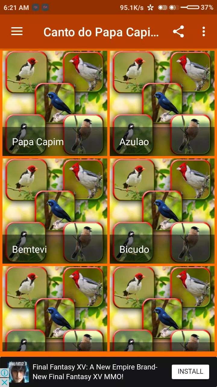 Canto De Papa Capim Tui Tui Puro100% Offline APK per Android Download