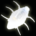 Insectoid