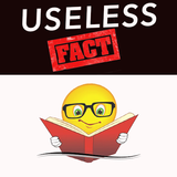 Useless Facts icône