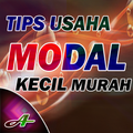 Usaha Modal Kecil Menjanjikan