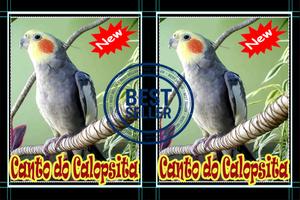 Canto Da Calopsita Amazone Brasilio Mp3 تصوير الشاشة 1