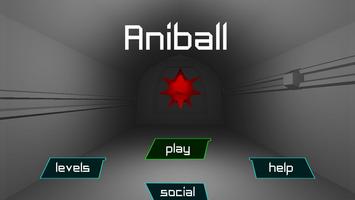 AniBall Affiche