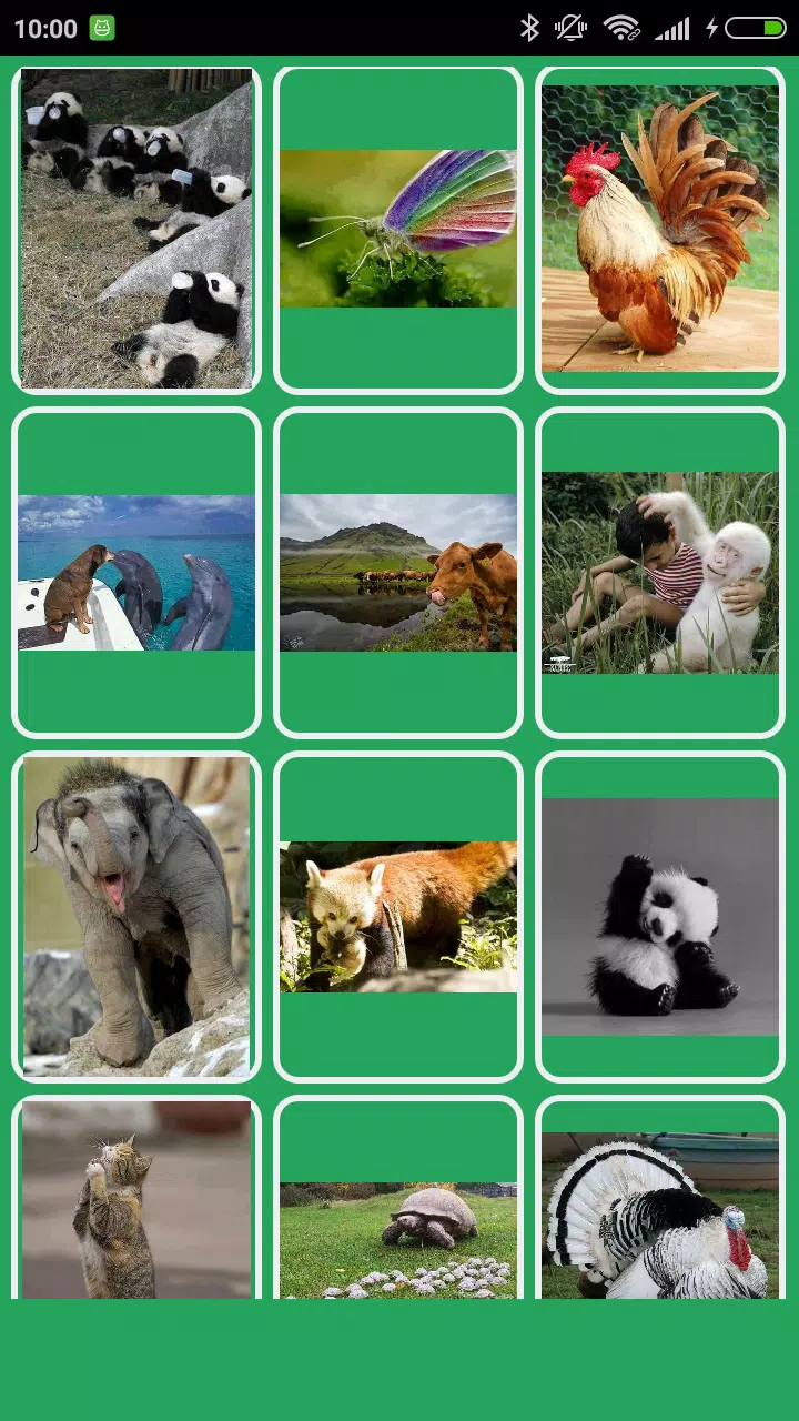 Amazing Animals in the World APK للاندرويد تنزيل Amazing Animals in the World APK للاندرويد تنزيل
