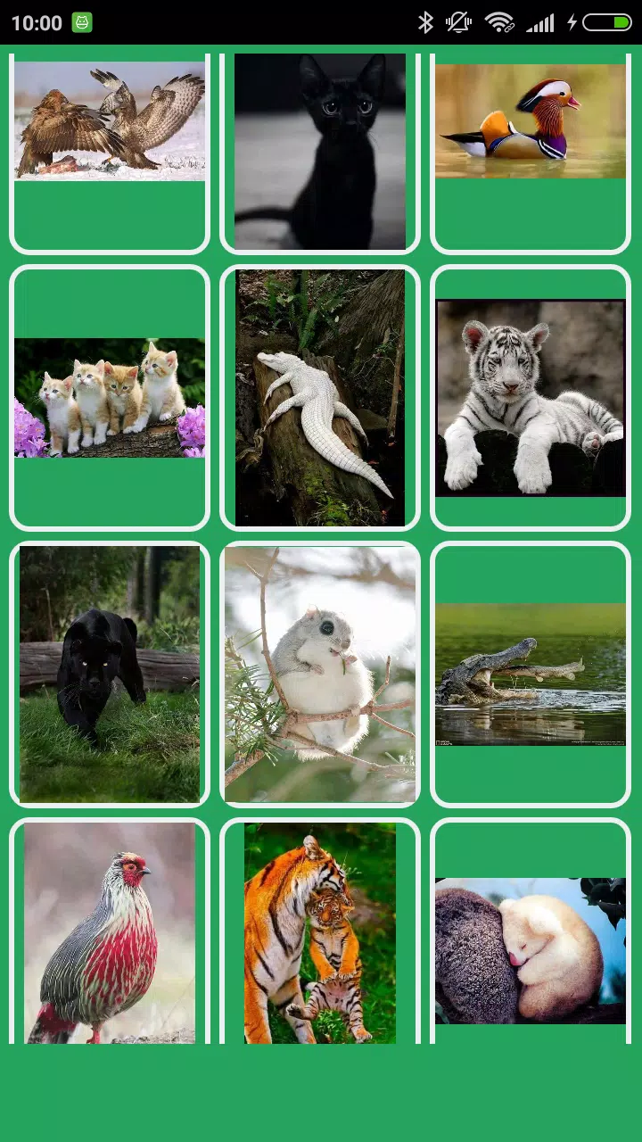 Amazing Animals in the World APK للاندرويد تنزيل Amazing Animals in the World APK للاندرويد تنزيل