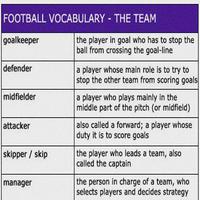 Football Vocabulary capture d'écran 2