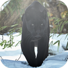 Black Panther Lock Screen icono