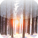 Forest Lock Screen APK