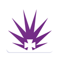 ANMF(SA)