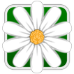 Flower Match Parade