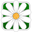 Flower Match Parade APK