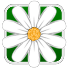 Flower Match Parade icône