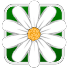 Flower Match Parade icono