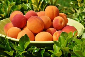 Salud en las Frutas Cartaz