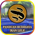 Panduan Budidaya Ikan Lele (TIPS)