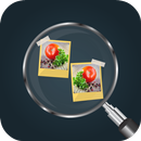 2 Photo 5 Differences APK