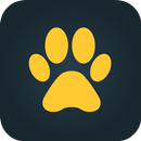 Fotocat: Find the Cat APK