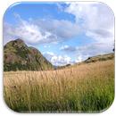 Relax Meditation & Chill Music APK