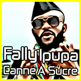 Fally Ipupa Zeichen