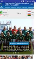 Copa Mundial Femenina screenshot 1