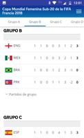 Copa Mundial Femenina screenshot 3