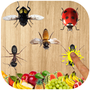 Ant Smasher 2d APK