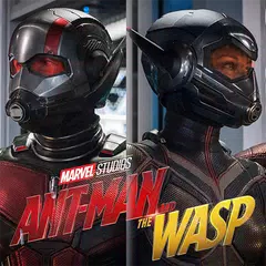 Ant Man The Wasp Wallpapers HD